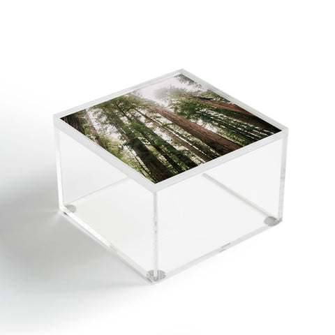 Hannah Kemp Tall Trees Acrylic Box