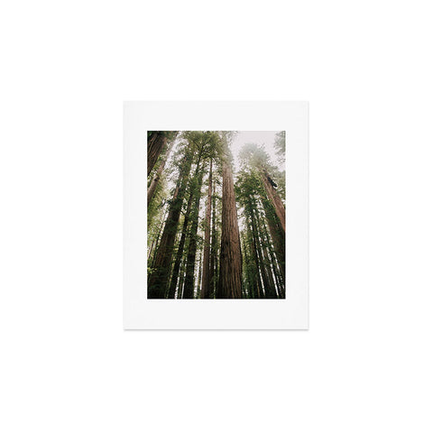 Hannah Kemp Tall Trees Art Print