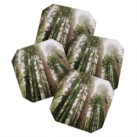 Hannah Kemp Tall Trees Coaster Set