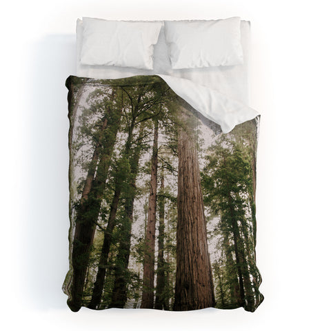 Hannah Kemp Tall Trees Comforter