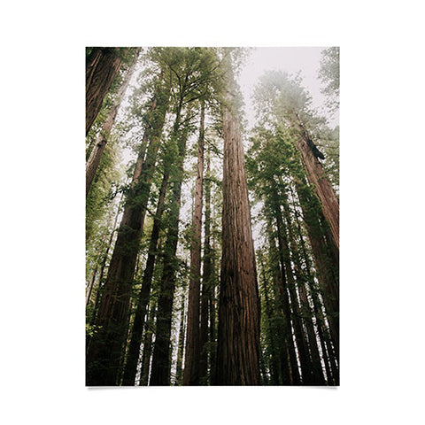 Hannah Kemp Tall Trees Poster