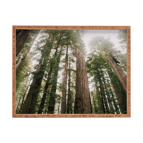 Hannah Kemp Tall Trees Rectangular Tray