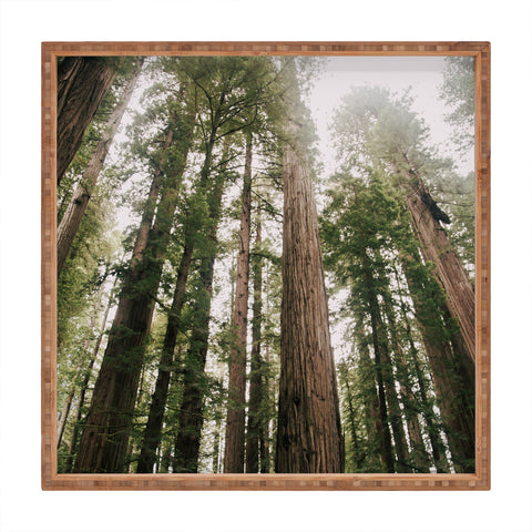 Hannah Kemp Tall Trees Square Tray