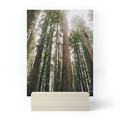 Hannah Kemp Tall Trees Mini Art Print