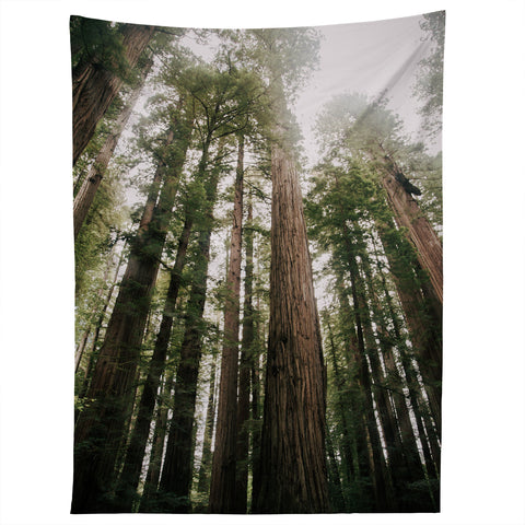 Hannah Kemp Tall Trees Tapestry