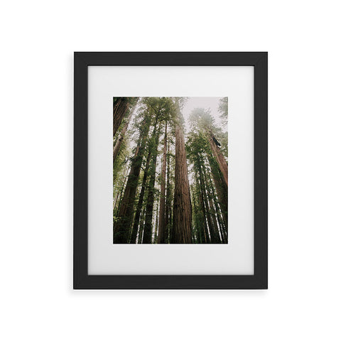 Hannah Kemp Tall Trees Framed Art Print