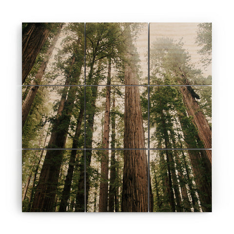 Hannah Kemp Tall Trees Wood Wall Mural