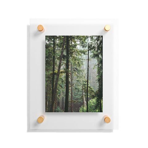Hannah Kemp Tranquil Forest Floating Acrylic Print