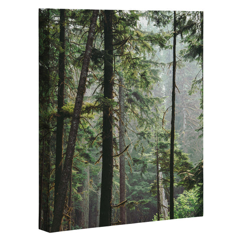Hannah Kemp Tranquil Forest Art Canvas