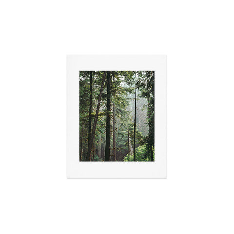 Hannah Kemp Tranquil Forest Art Print