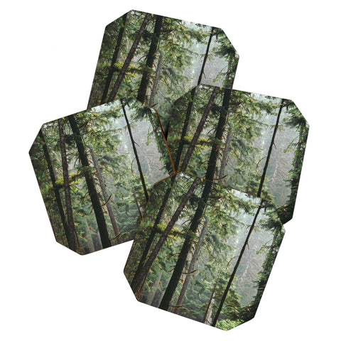Hannah Kemp Tranquil Forest Coaster Set