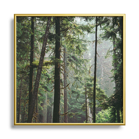 Hannah Kemp Tranquil Forest Square Metal Framed Art Print