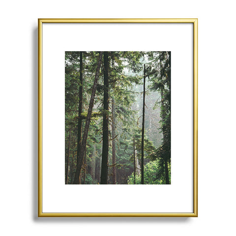 Hannah Kemp Tranquil Forest Metal Framed Art Print