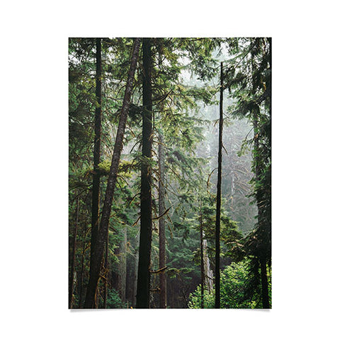 Hannah Kemp Tranquil Forest Poster