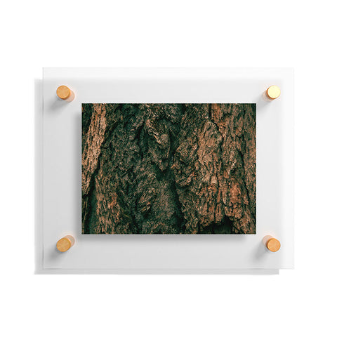 Hannah Kemp Tree Bark Floating Acrylic Print