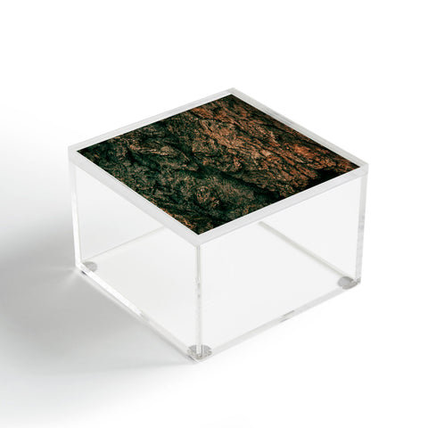 Hannah Kemp Tree Bark Acrylic Box