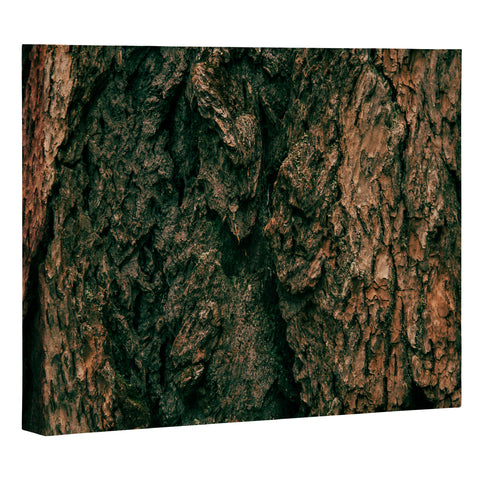 Hannah Kemp Tree Bark Art Canvas