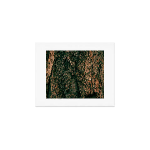 Hannah Kemp Tree Bark Art Print