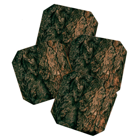 Hannah Kemp Tree Bark Coaster Set