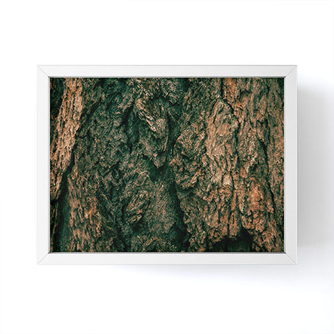 Hannah Kemp Tree Bark Framed Mini Art Print