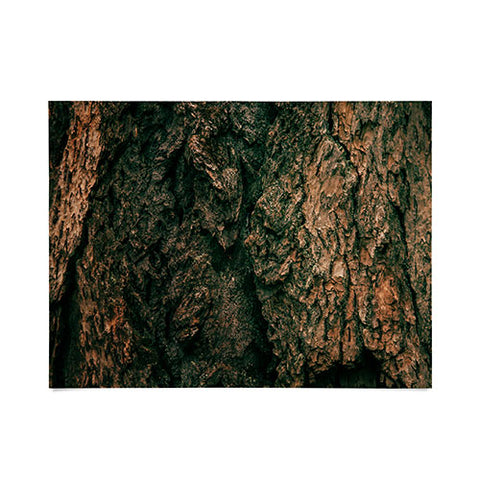 Hannah Kemp Tree Bark Poster