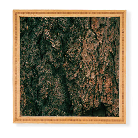 Hannah Kemp Tree Bark Framed Wall Art