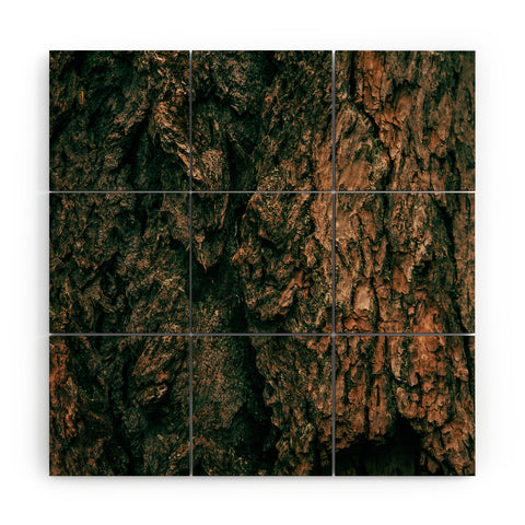 Hannah Kemp Tree Bark Wood Wall Mural