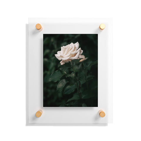 Hannah Kemp White Rose Floating Acrylic Print
