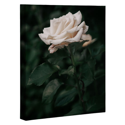 Hannah Kemp White Rose Art Canvas