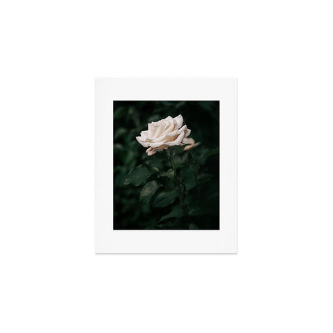 Hannah Kemp White Rose Art Print
