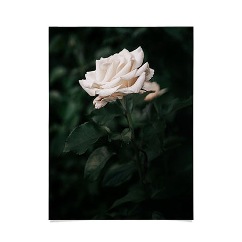Hannah Kemp White Rose Poster