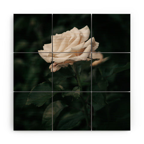 Hannah Kemp White Rose Wood Wall Mural