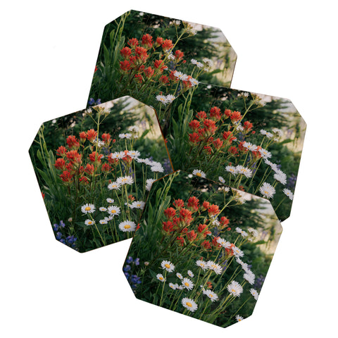 Hannah Kemp Wildflower Bunch Coaster Set