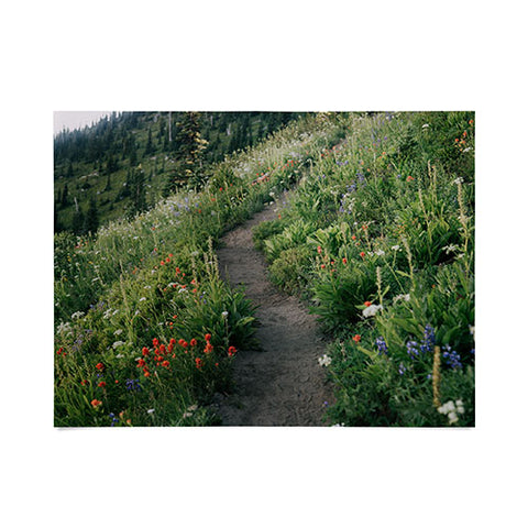 Hannah Kemp Wildflower Hike Poster