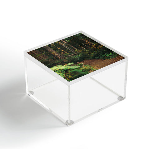 Hannah Kemp Woodland Landscape Acrylic Box