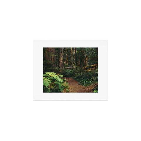 Hannah Kemp Woodland Landscape Art Print