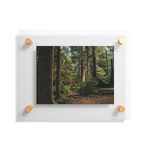 Hannah Kemp Woodland Landscape II Floating Acrylic Print