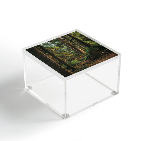 Hannah Kemp Woodland Landscape II Acrylic Box