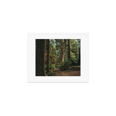 Hannah Kemp Woodland Landscape II Art Print