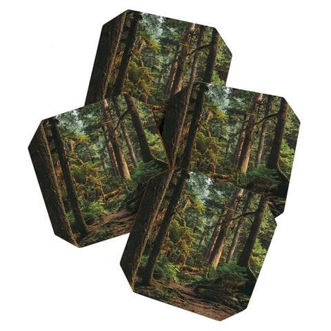 Hannah Kemp Woodland Landscape II Coaster Set