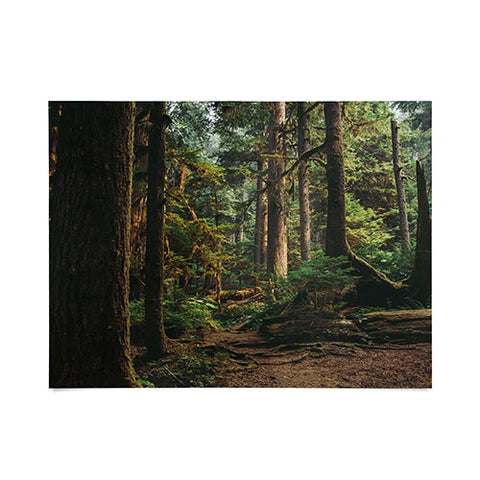 Hannah Kemp Woodland Landscape II Poster