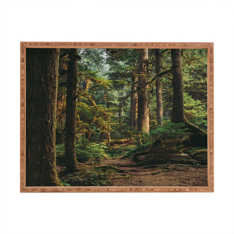Hannah Kemp Woodland Landscape II Rectangular Tray