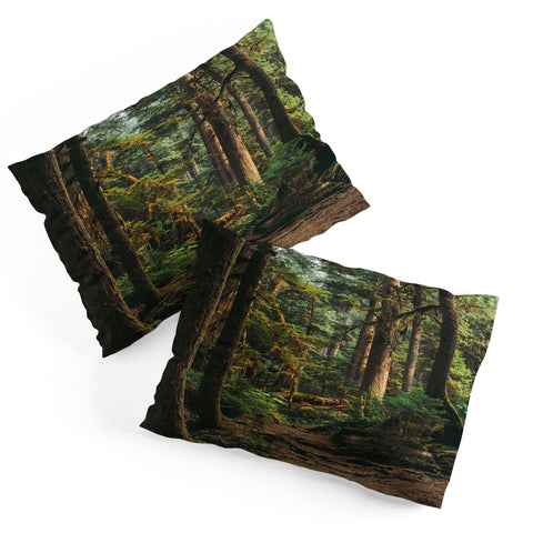 Hannah Kemp Woodland Landscape II Pillow Shams