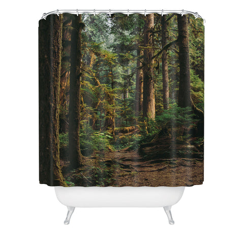 Hannah Kemp Woodland Landscape II Shower Curtain