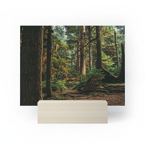 Hannah Kemp Woodland Landscape II Mini Art Print