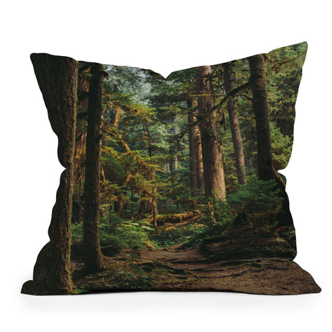 Hannah Kemp Woodland Landscape II Outdoor Throw Pillow