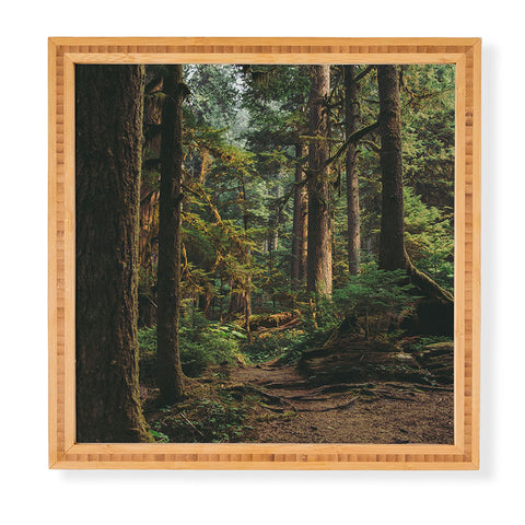 Hannah Kemp Woodland Landscape II Framed Wall Art