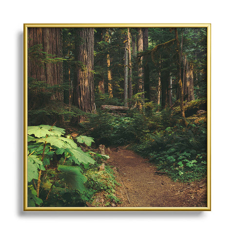 Hannah Kemp Woodland Landscape Square Metal Framed Art Print