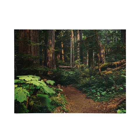 Hannah Kemp Woodland Landscape Poster