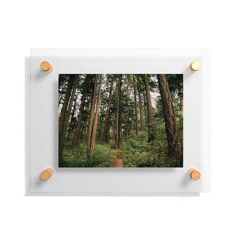 Hannah Kemp Woodland Trail Floating Acrylic Print